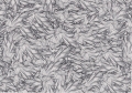 Pelos 2002_2