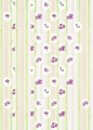 Spring Door GA011B